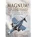 Magnum! The Wild Weasels in Desert Storm: The Elimination of Iraq's Air Defence
