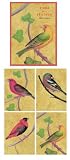 Birds of a Feather Note Cards