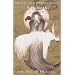 The Dream Hunters (Sandman, Book 11)