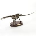 Apatosaurus Dinosaur Skeleton Model Statue, Scale 1/35