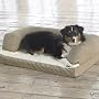 NEW Extra Large 54" x 34" Beasley's Couch Dog Bed!