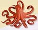 Large Pacific Octopus