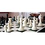 House of Staunton 4.0" Weighted Plastic Collector Chess Set