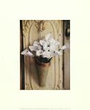 Calla Lilies Art Poster Print by Marina Addison, 9x11