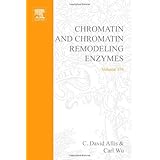 chromatin and chromatin remodeling enzymes part b methods in enzymology