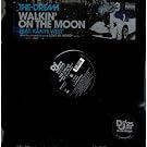 Walkin on the Moon