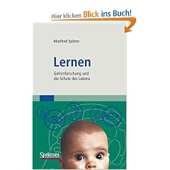 Lernen: Gehirnforschung und die Schule des Lebens