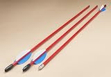 Bear Archery/Trophy Ridge Brave Arrows