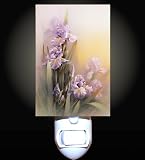 Dreamy Irisis Decorative Night Light