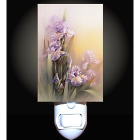 Dreamy Irisis Decorative Night Light