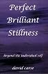 Perfect Brilliant Stillness