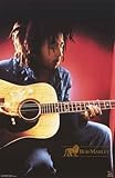 Bob Marley College Poster Print, 22x34