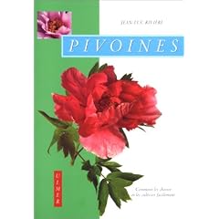 Pivoines : Comment les choisir et les cultiver facilement