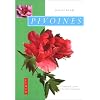 Pivoines : Comment les choisir et les cultiver facilement