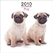 pug44 - Pug Mini 2010 Mini Wall ARTLIST