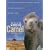 The Story Of The Weeping Camel [2004] [DVD]