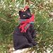 Shorthair Black Cat Ornament