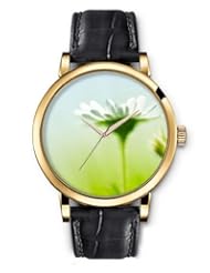 SPRAWL Aanalog Fashion Series Gold Ladies Watches of Genuine Black Leather Strap,Unique Wrist Watch for Women Girls Designed with white daisies