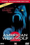 American Werewolf 2