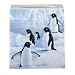 Penguin Party Tissue Cover