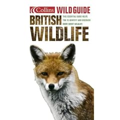 British Wildlife (Collins Wild Guide)
