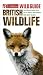 Book Collins Wild Guide British Wildlife: The Essential Beginners Guide (Wildlife Guide)