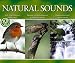 Search : Natural Sounds