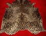Giraffe Cowhide - Medium Print on Caramel
