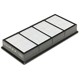 Holmes HAPF30DPDQ-U Replacement HEPA Filters, 2-Pack