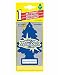 Car Freshner 10189 Little Trees Air Freshener New Car Scent - Single Tree per Package