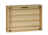 Maja 1816 F531 Sammlervitrine und Wandregal 60 x 43 x 12 cm Buche