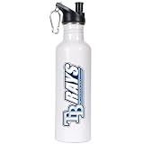 Tampa Bay Rays 26oz Stainless Steel Water Bottle (White)