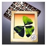 St. Patricks Day 1 Lb. Sugar Free & Low Carb Chocolates