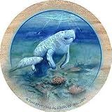 Thirstystone 4-pc. Manatee Coaster Set BLUE MULTI