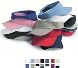 Sportsman - Sandwich Visor (2190)
