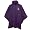 Minnesota Vikings