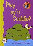Pwy sy'n cuddio