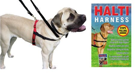 HALTI Dog Harness Medium + Free Training Guide