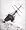 The Shackleton Voyages: A pictorial anthology of the polar explorer and Edwardian hero
