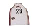 Lebron James Autographed/Hand Signed Cleveland Cavaliers Authentic White Jersey