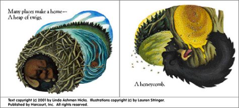 Cover image : Castles, Caves, and Honeycombs: Many Different Kinds of Homes