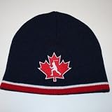 Minnesota Twins Knit Hat