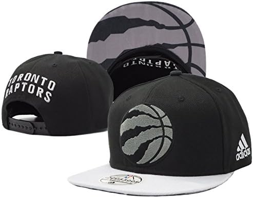 Toronto Raptors Snapback?cap-2
