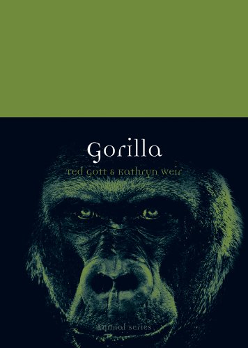 Gorilla (Animal)