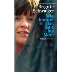 Wie kommt das Salz ins Meer