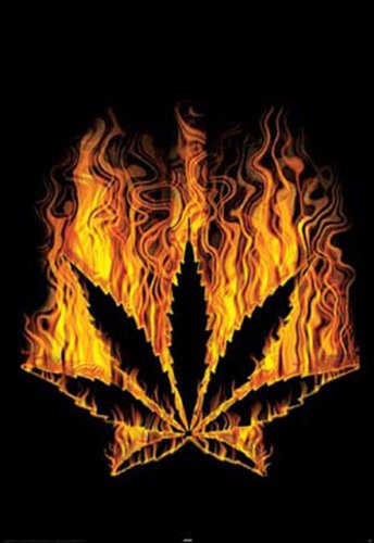 Empire 17147 Dope - Burning Leafs - Plakat Poster Druck - 61 x 91.5 cm Preisvergleich
