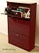 CLYDE - Compact Shoe Storage Cupboard - Mahogany
