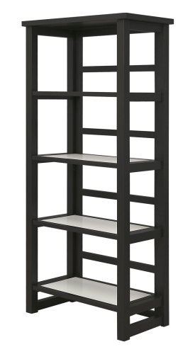 BLACK and FROSTED GLASS BOOKCASE
