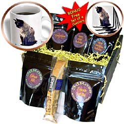 Cats - Siamese Cat - Coffee Gift Baskets - Coffee Gift Basket by 3dRose LLC