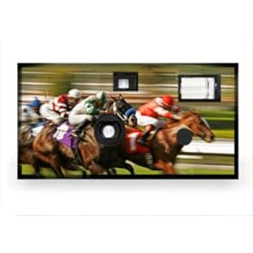 Sports Horse Riding Disposable Camera Case Pack 20